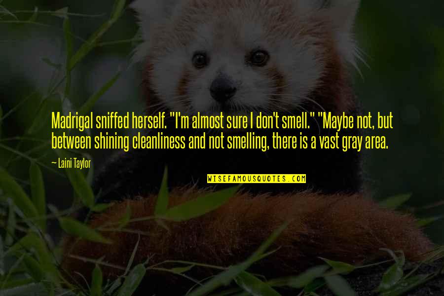Tselioudis Quotes By Laini Taylor: Madrigal sniffed herself. "I'm almost sure I don't Tselioudis Quotes By Laini Taylor: Madrigal sniffed herself. "I'm almost sure I don't