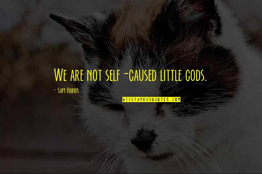 Tsimtsum Donald Quotes By Sam Harris: We are not self-caused little gods. Tsimtsum Donald Quotes By Sam Harris: We are not self-caused little gods.