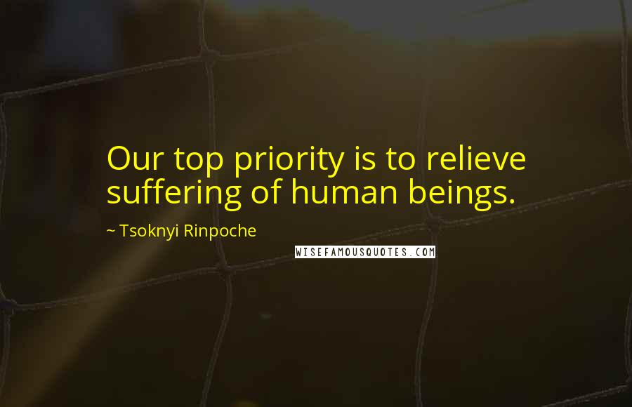 Tsoknyi Rinpoche quotes: Our top priority is to relieve suffering of human beings.