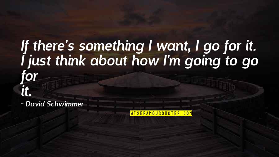 Tsst Quotes By David Schwimmer: If there's something I want, I go for Tsst Quotes By David Schwimmer: If there's something I want, I go for