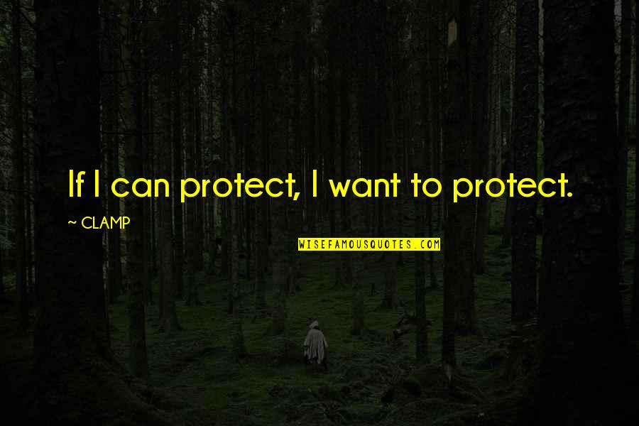 Tsubasa Quotes By CLAMP: If I can protect, I want to protect.