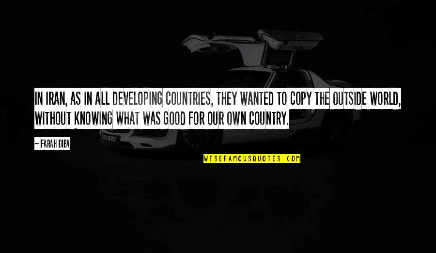Tsuchida Nobuo Quotes By Farah Diba: In Iran, as in all developing countries, they