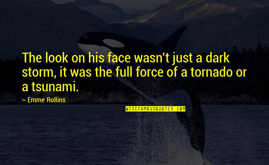 Tsunami Quotes By Emme Rollins: The look on his face wasn't just a
