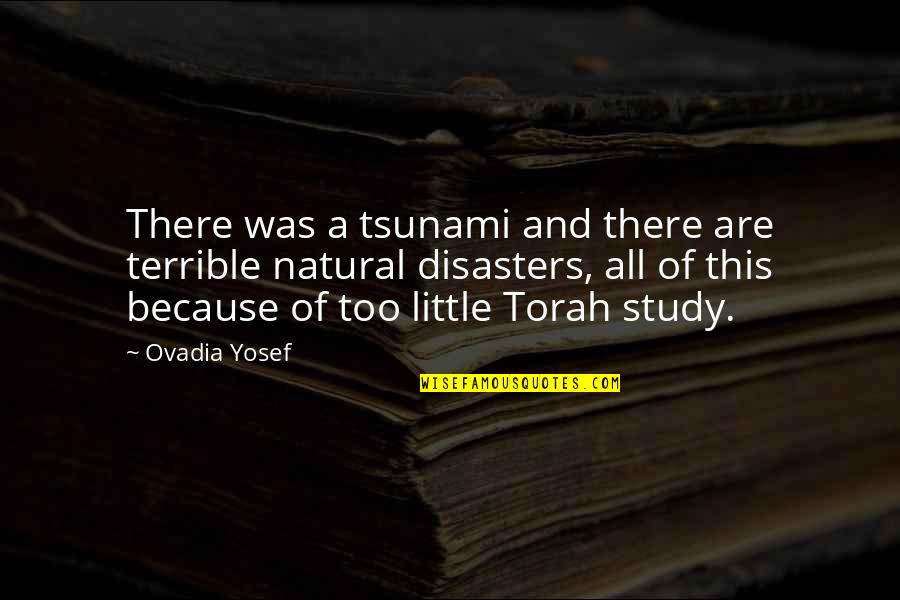 Tsunami Quotes By Ovadia Yosef: There was a tsunami and there are terrible