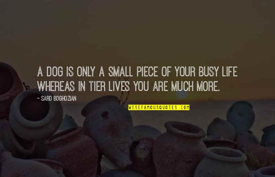 Tsuruko Sakamoto Quotes By Saro Boghozian: A dog is only a small piece of