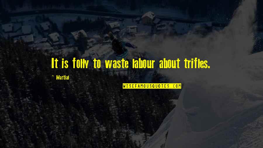 Tsvetanka Zheleva Quotes By Martial: It is folly to waste labour about trifles.