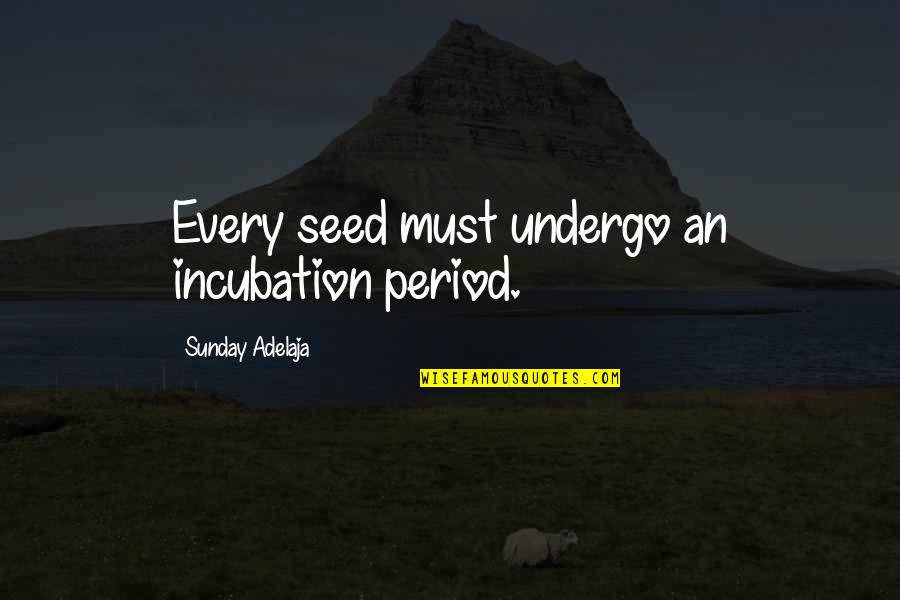 Tswana Motivational Quotes By Sunday Adelaja: Every seed must undergo an incubation period.