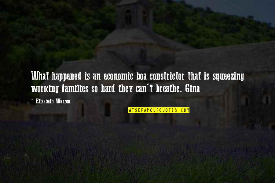 Tthe Quotes By Elizabeth Warren: What happened is an economic boa constrictor that