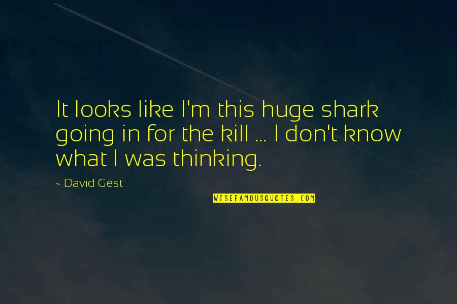 Tti Stock Quotes By David Gest: It looks like I'm this huge shark going Tti Stock Quotes By David Gest: It looks like I'm this huge shark going