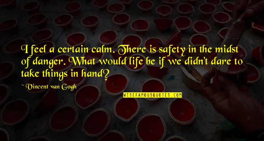 Ttsd Quotes By Vincent Van Gogh: I feel a certain calm. There is safety