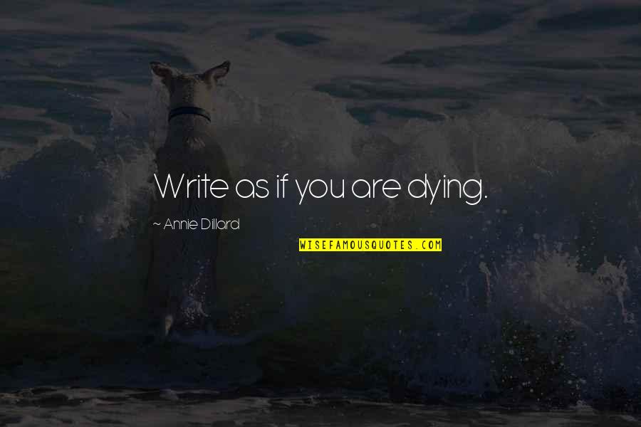 Tttc Ambush Quotes By Annie Dillard: Write as if you are dying.