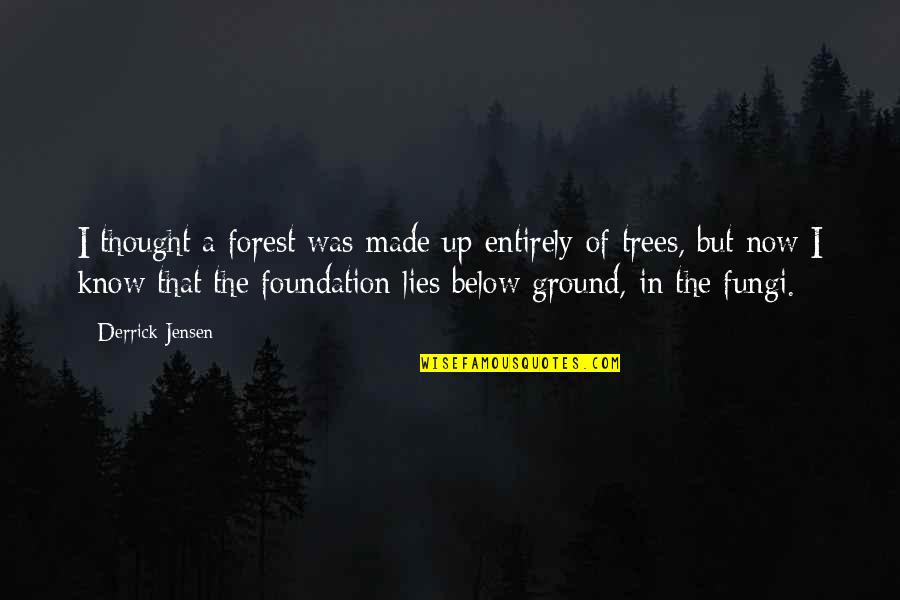Tu Maza Sangati Quotes By Derrick Jensen: I thought a forest was made up entirely