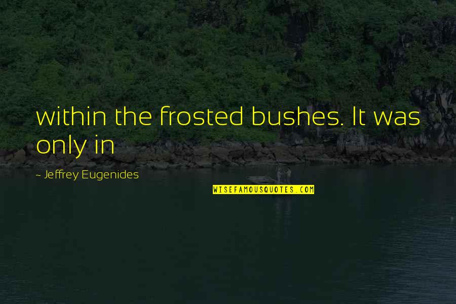 Tuangoeats Quotes By Jeffrey Eugenides: within the frosted bushes. It was only in Tuangoeats Quotes By Jeffrey Eugenides: within the frosted bushes. It was only in