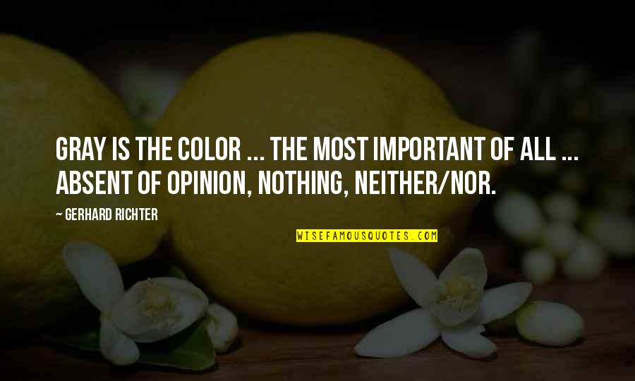 Tuataras Quotes By Gerhard Richter: Gray is the color ... the most important