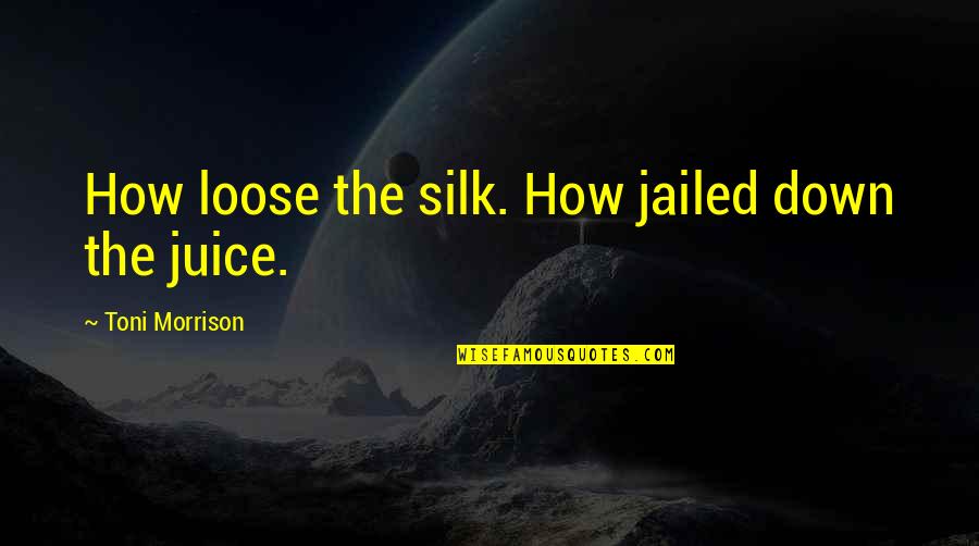 Tubber Quotes By Toni Morrison: How loose the silk. How jailed down the