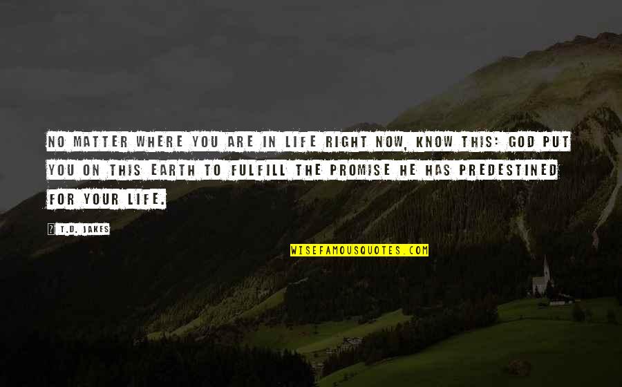 Tuberculous Lymphadenitis Quotes By T.D. Jakes: No matter where you are in life right Tuberculous Lymphadenitis Quotes By T.D. Jakes: No matter where you are in life right