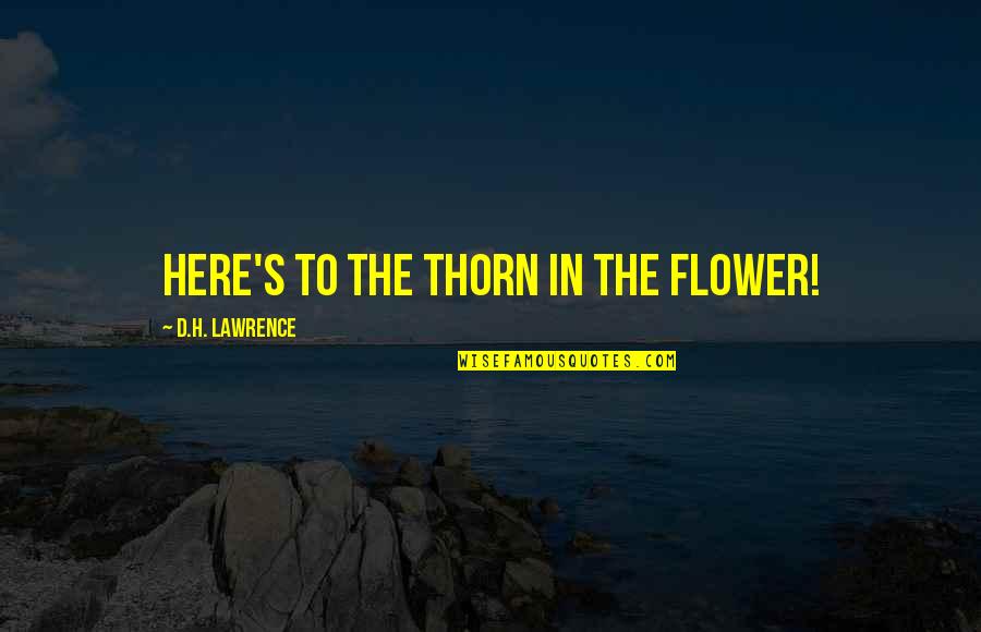 Tucanes La Quotes By D.H. Lawrence: Here's to the thorn in the flower! Tucanes La Quotes By D.H. Lawrence: Here's to the thorn in the flower!