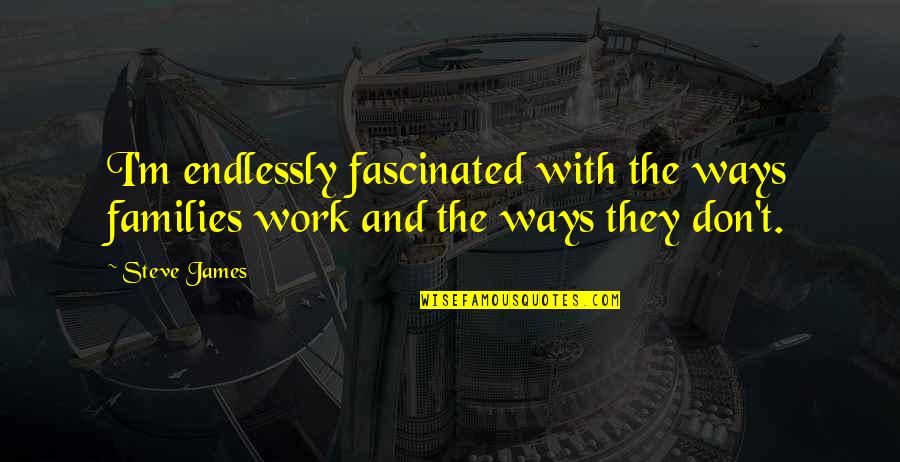 Tudorache Ioana Quotes By Steve James: I'm endlessly fascinated with the ways families work