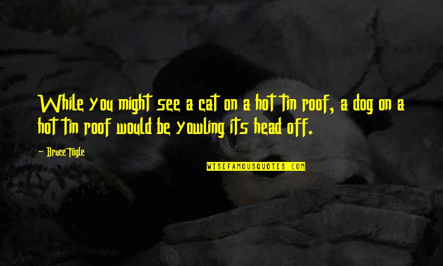 Tudose Premier Quotes By Bruce Fogle: While you might see a cat on a Tudose Premier Quotes By Bruce Fogle: While you might see a cat on a