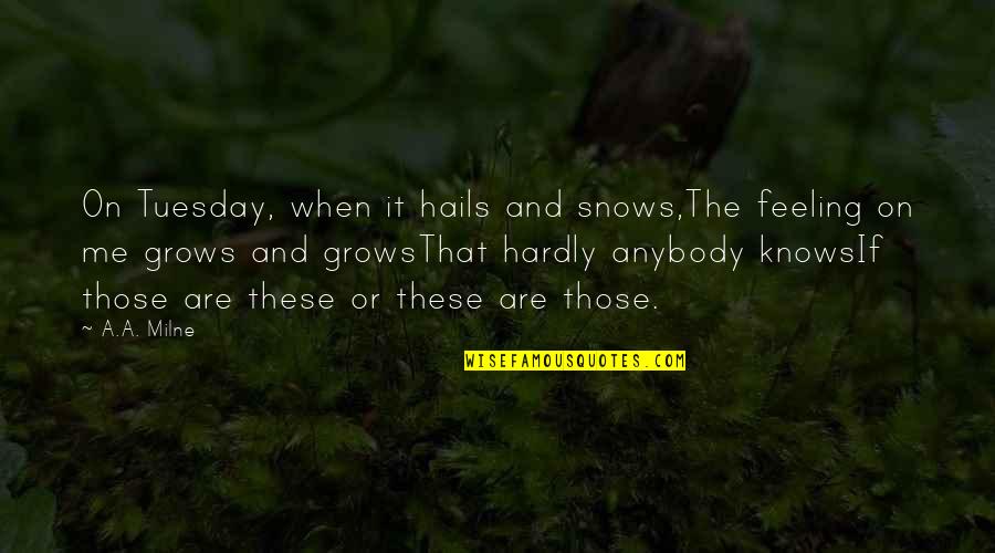Tuesday Quotes By A.A. Milne: On Tuesday, when it hails and snows,The feeling