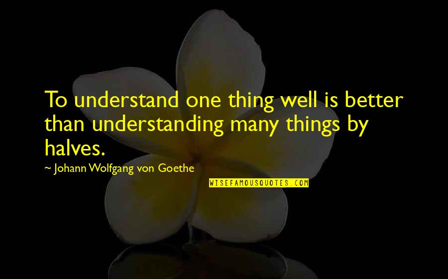 Tufanos Chicago Quotes By Johann Wolfgang Von Goethe: To understand one thing well is better than