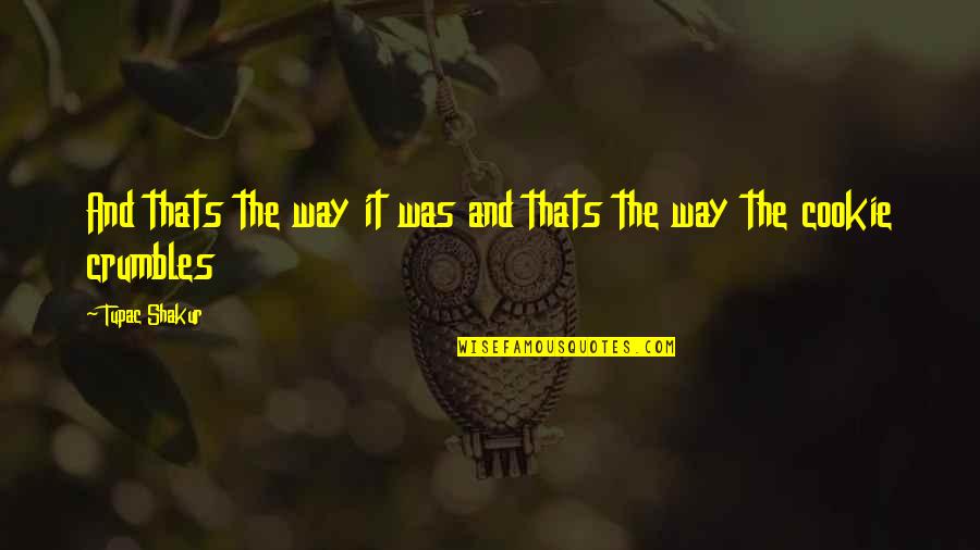 Tufnell Gallery Quotes By Tupac Shakur: And thats the way it was and thats