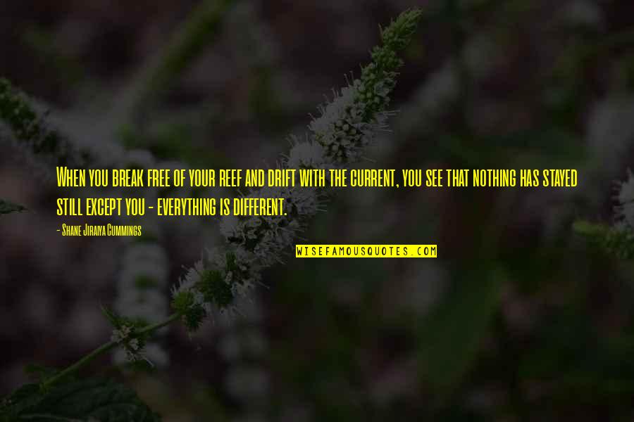 Tugendhat Lounge Quotes By Shane Jiraiya Cummings: When you break free of your reef and Tugendhat Lounge Quotes By Shane Jiraiya Cummings: When you break free of your reef and
