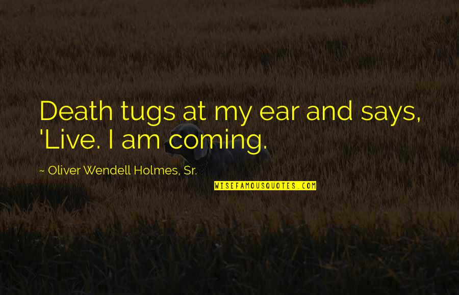 Tugs Quotes By Oliver Wendell Holmes, Sr.: Death tugs at my ear and says, 'Live.