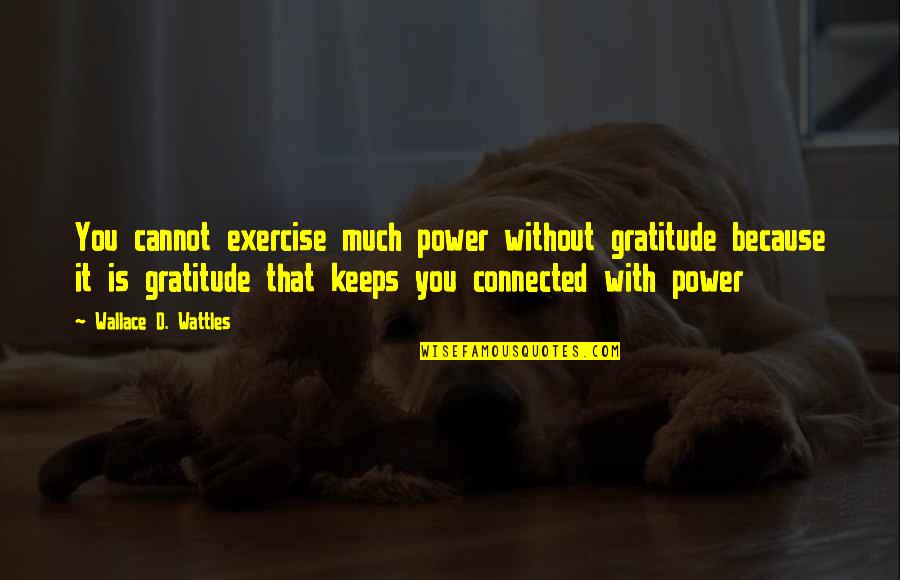 Tuija Parikka Quotes By Wallace D. Wattles: You cannot exercise much power without gratitude because