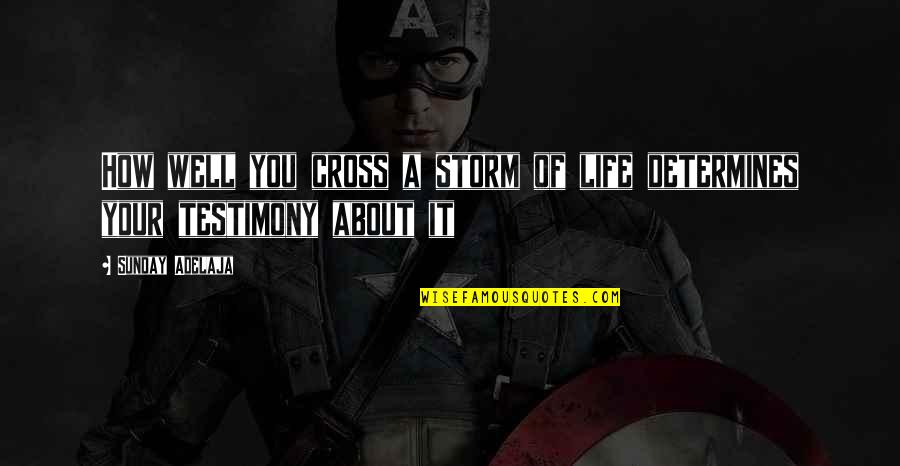 Tuinman Rijmenam Quotes By Sunday Adelaja: How well you cross a storm of life