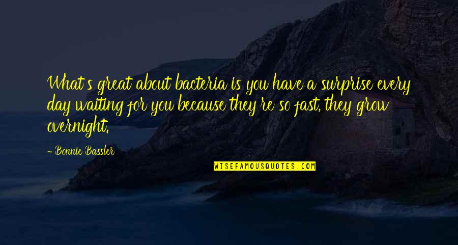 Tuireann Quotes By Bonnie Bassler: What's great about bacteria is you have a
