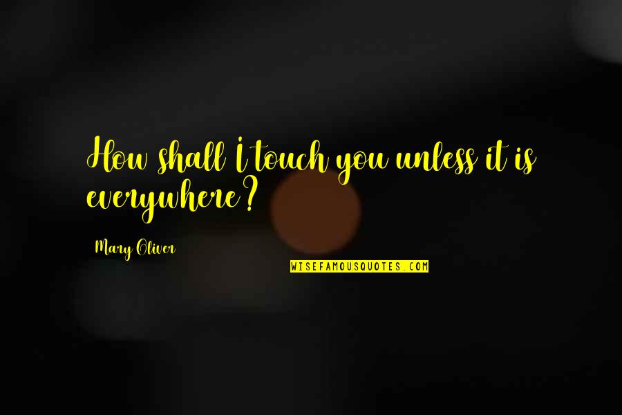 Tujuan Hidup Quotes By Mary Oliver: How shall I touch you unless it is