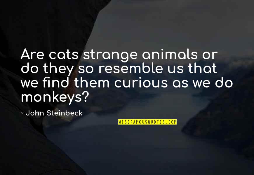 Tulang Belakang Quotes By John Steinbeck: Are cats strange animals or do they so