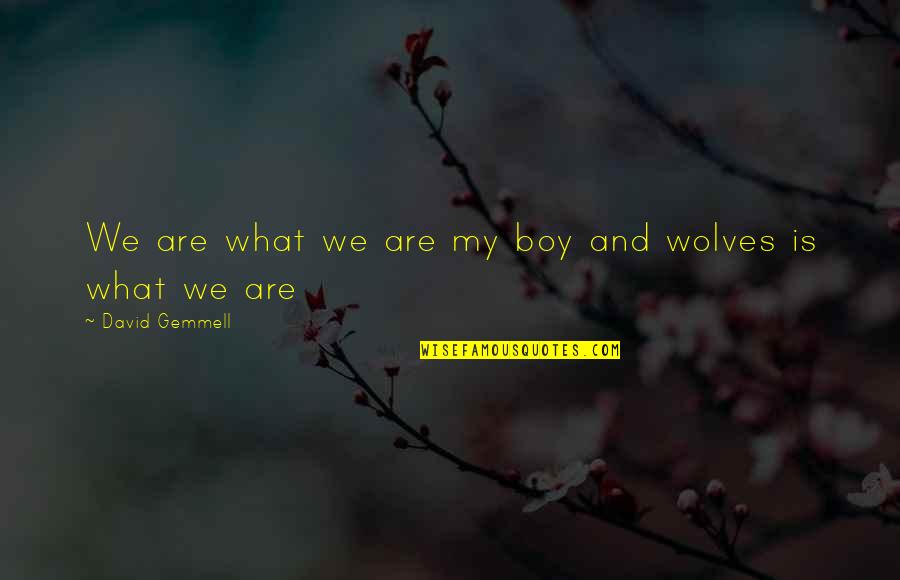 Tulips Sylvia Plath Quotes By David Gemmell: We are what we are my boy and Tulips Sylvia Plath Quotes By David Gemmell: We are what we are my boy and