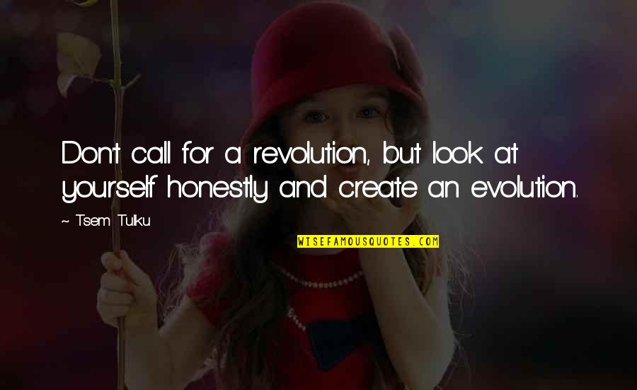 Tulku Quotes By Tsem Tulku: Don't call for a revolution, but look at