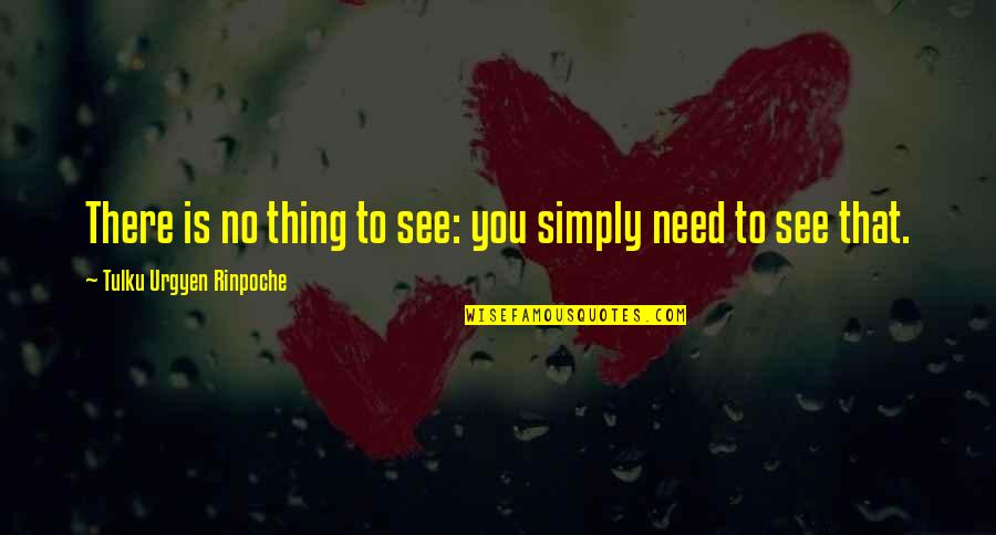 Tulku Quotes By Tulku Urgyen Rinpoche: There is no thing to see: you simply