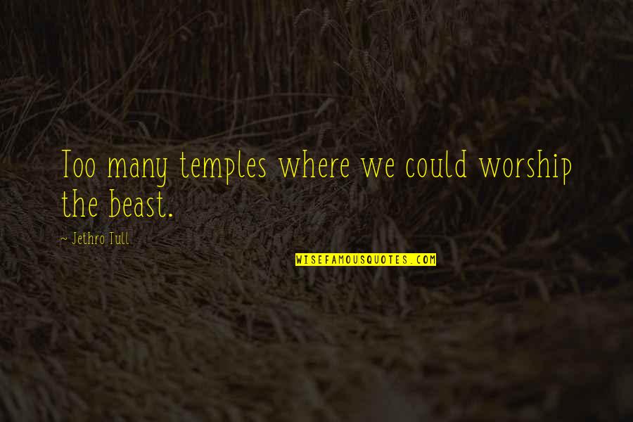 Tull Quotes By Jethro Tull: Too many temples where we could worship the