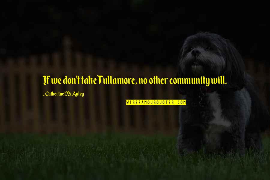 Tullamore Quotes By Catherine McAuley: If we don't take Tullamore, no other community