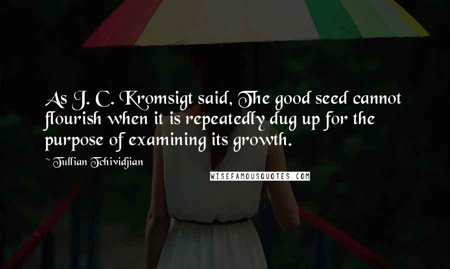 Tullian Tchividjian quotes: As J. C. Kromsigt said, The good seed cannot flourish when it is repeatedly dug up for the purpose of examining its growth.