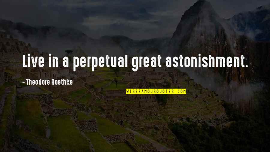 Tulloch Quotes By Theodore Roethke: Live in a perpetual great astonishment. Tulloch Quotes By Theodore Roethke: Live in a perpetual great astonishment.