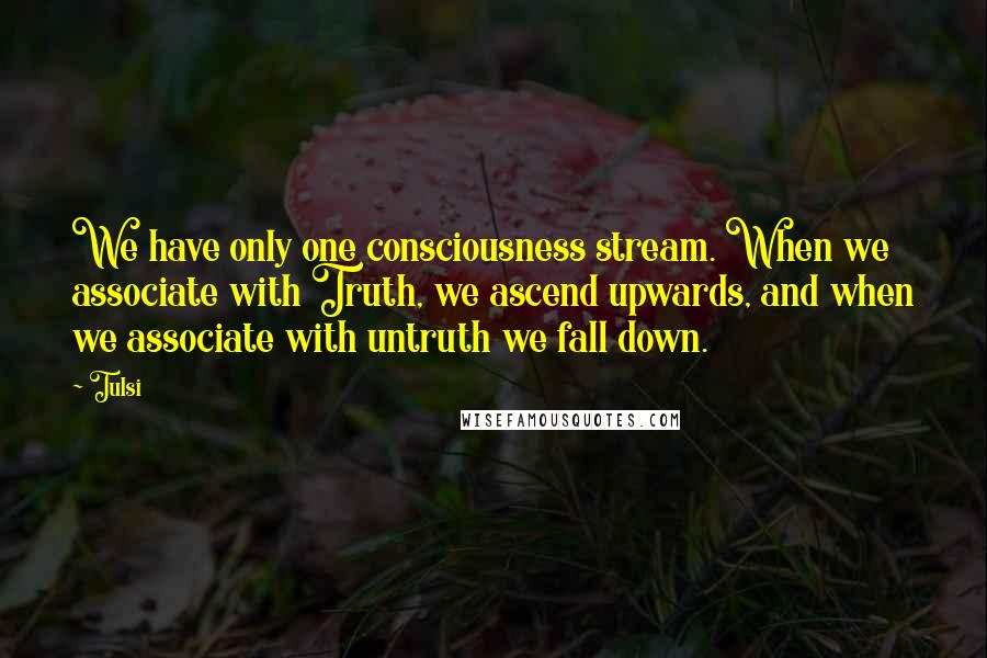 Tulsi quotes: We have only one consciousness stream. When we associate with Truth, we ascend upwards, and when we associate with untruth we fall down.