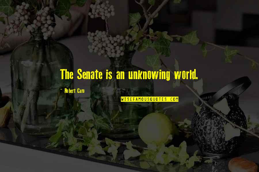 Tum Mile Memorable Quotes By Robert Caro: The Senate is an unknowing world.