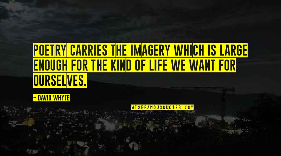Tumba La Quotes By David Whyte: Poetry carries the imagery which is large enough Tumba La Quotes By David Whyte: Poetry carries the imagery which is large enough