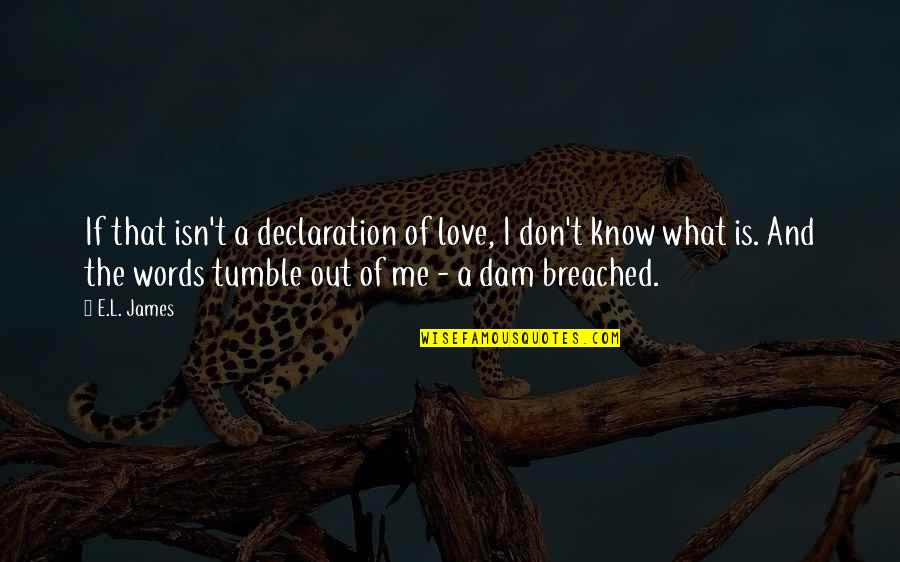 Tumble Quotes By E.L. James: If that isn't a declaration of love, I