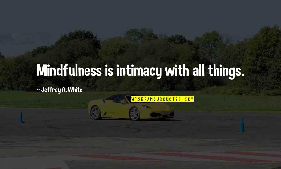 Tumblr Condoms Quotes By Jeffrey A. White: Mindfulness is intimacy with all things.