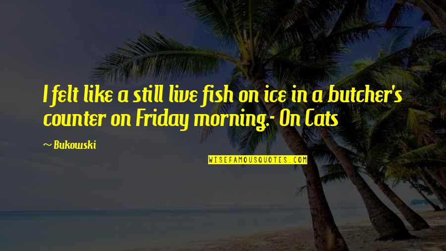 Tumblr Feminazi Quotes By Bukowski: I felt like a still live fish on