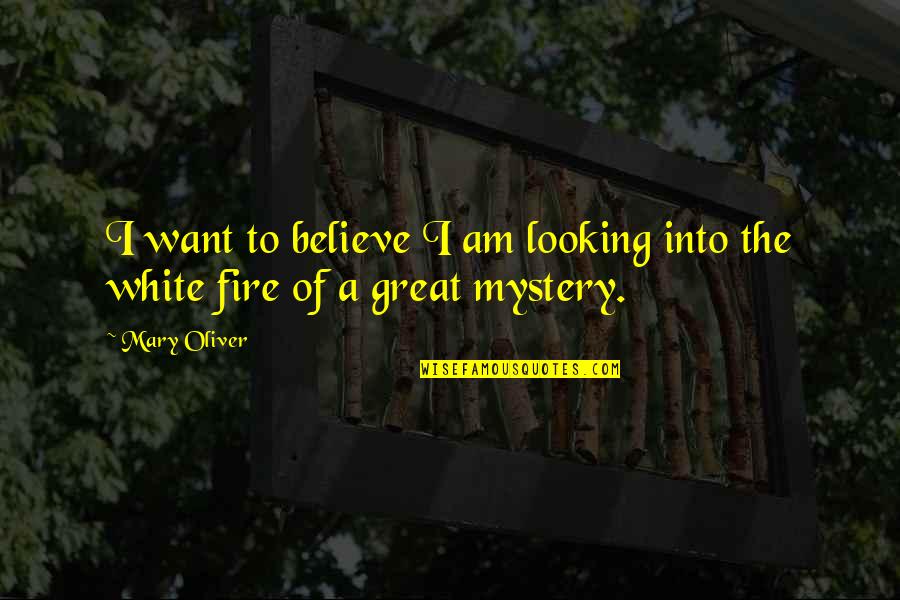 Tumescence Penile Quotes By Mary Oliver: I want to believe I am looking into
