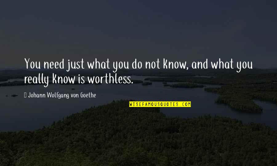 Tumpah Dalam Quotes By Johann Wolfgang Von Goethe: You need just what you do not know,