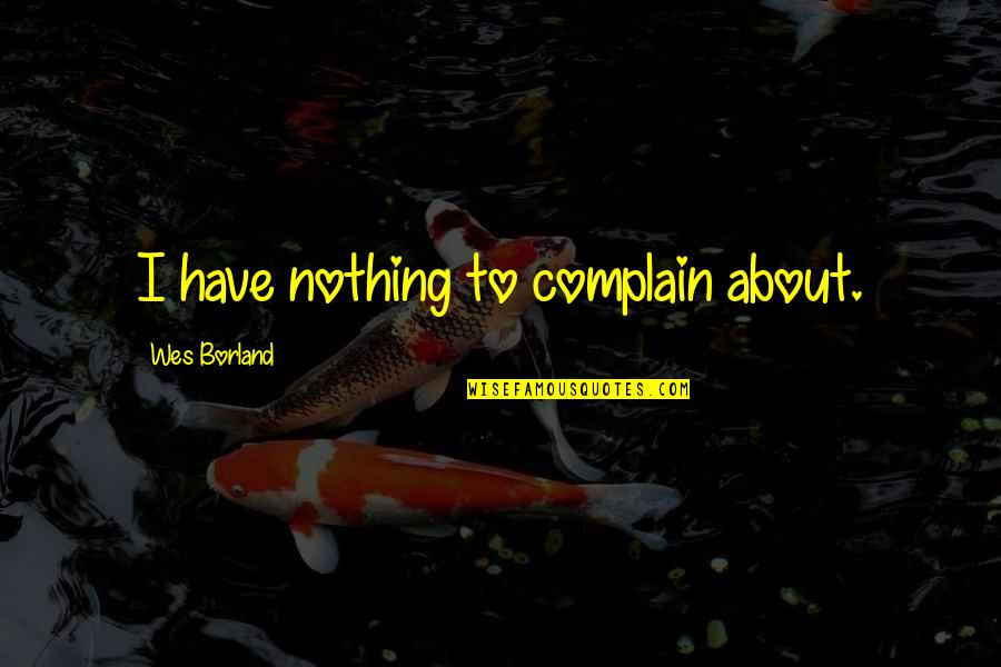 Tuncan Quotes By Wes Borland: I have nothing to complain about.