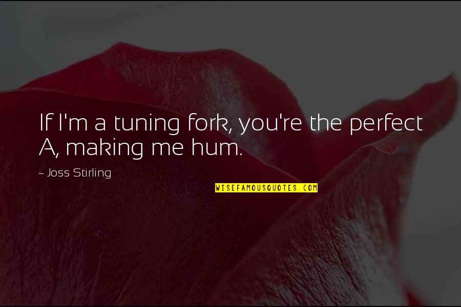 Tuning Fork Quotes By Joss Stirling: If I'm a tuning fork, you're the perfect